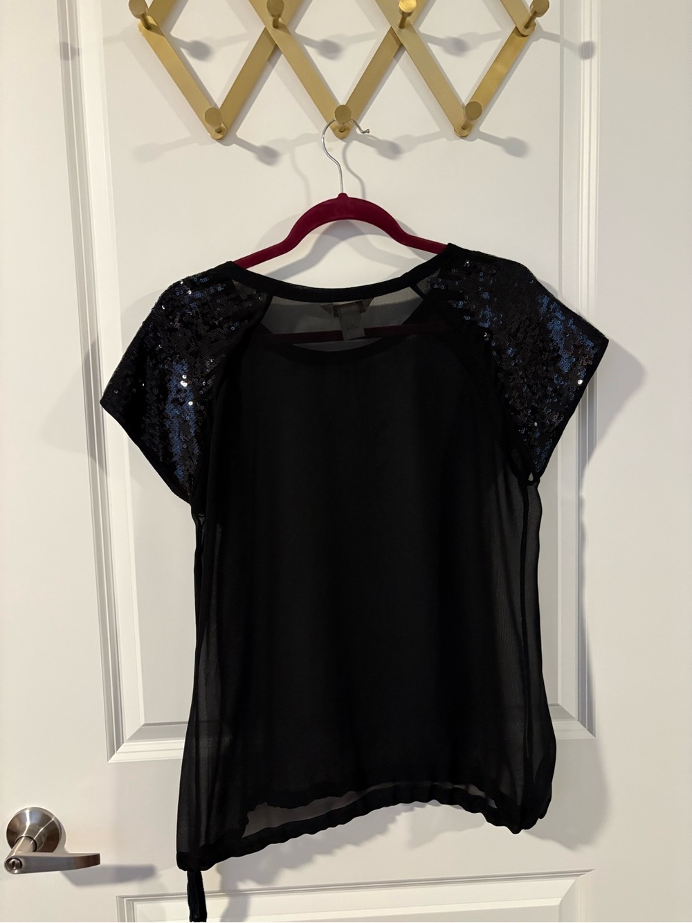 Fun & Flirt Black Sheer Blouse with Sequin Cap Sleeves